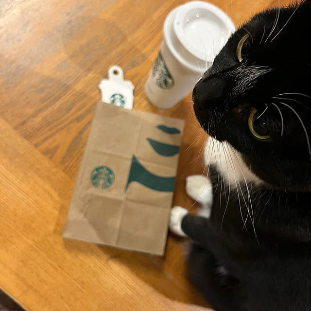 kozakura10さんの実例写真