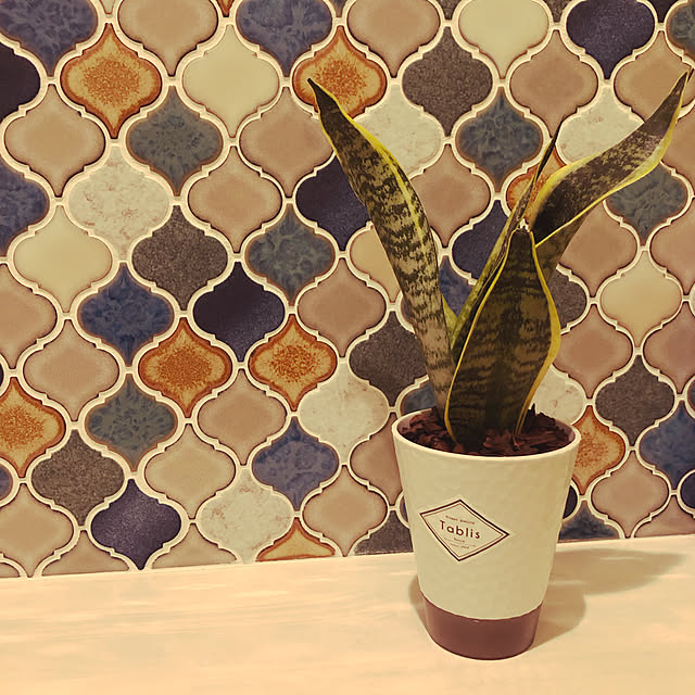 観葉植物/バス/トイレのインテリア実例 - 2021-11-15 01:48:59