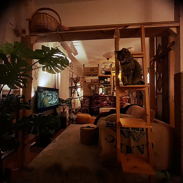 Mさんの部屋