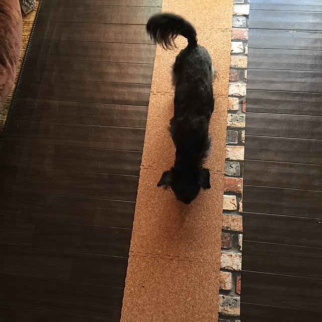 nonpiiiさんの実例写真