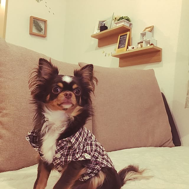 yuさんの実例写真