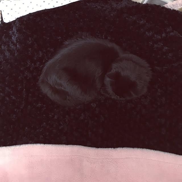 minamiさんの実例写真