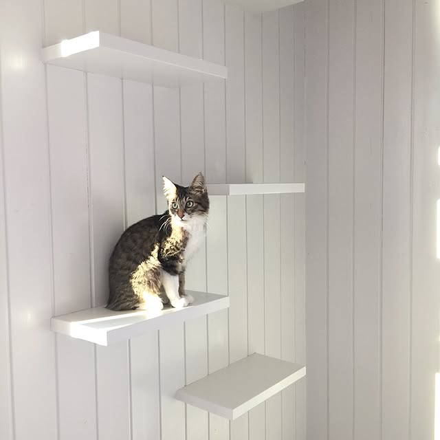 yuchiさんの実例写真
