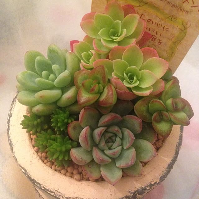 saqura_apartment101さんの実例写真