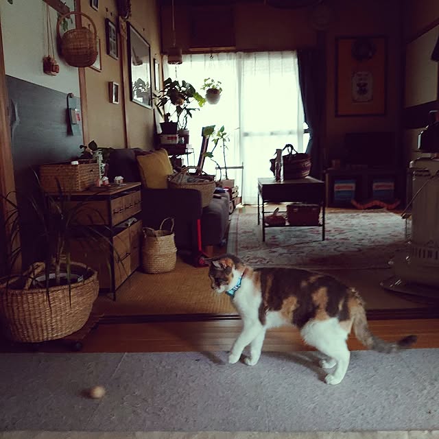 fukuさんの実例写真