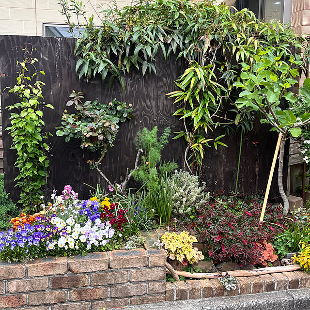 greycatsさんの部屋