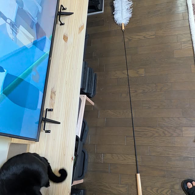 asaさんの実例写真