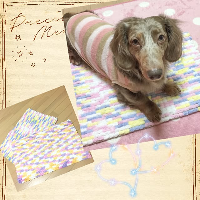 Aliceさんの実例写真