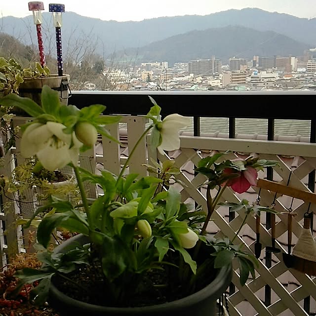 mcomcoさんの実例写真