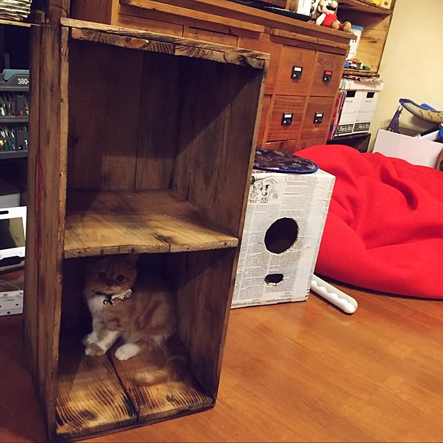 anmituさんの実例写真