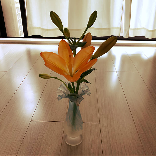 kazuさんの実例写真