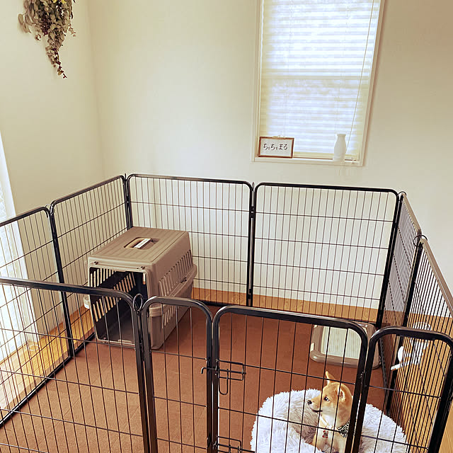 犬/部屋全体のインテリア実例 - 2021-01-15 21:46:34