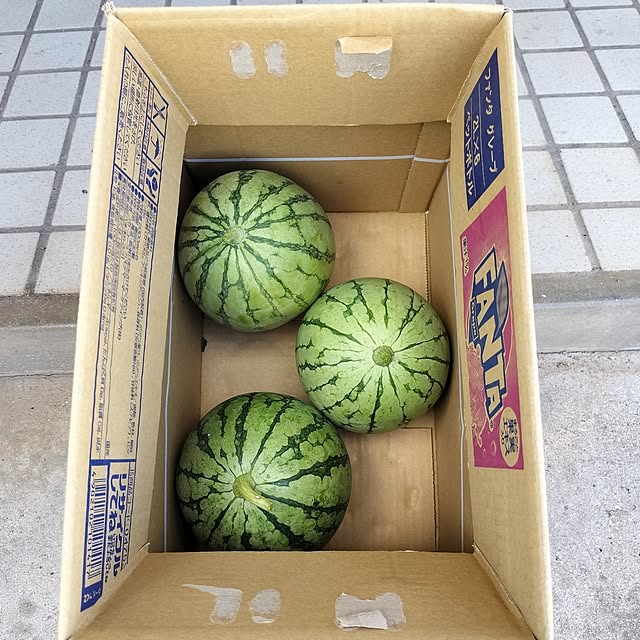 sumimarumiさんの部屋