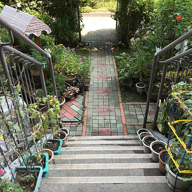 machakoさんの実例写真