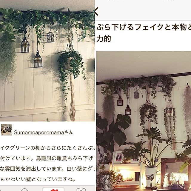 Sumomoaporomamaさんの実例写真