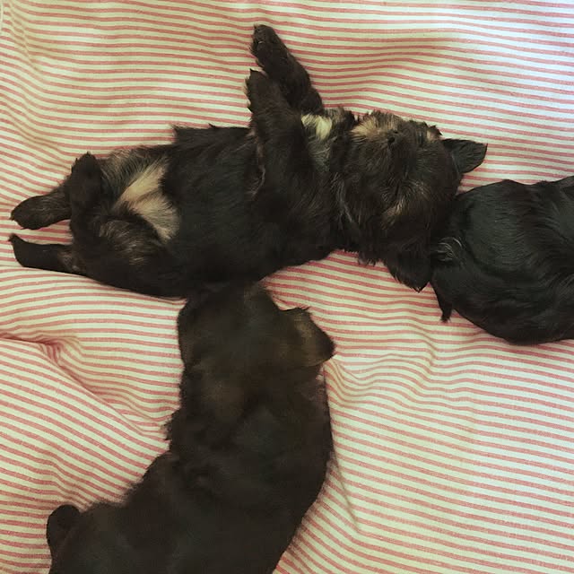 Thammaratさんの実例写真