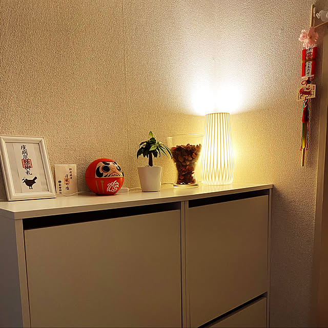 観葉植物/IKEA/玄関/入り口のインテリア実例 - 2021-05-19 19:36:45