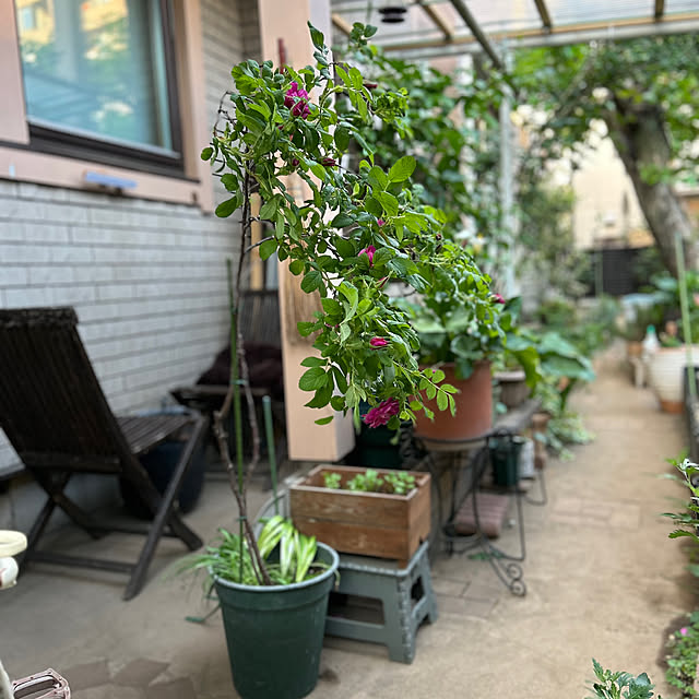 botanさんの実例写真