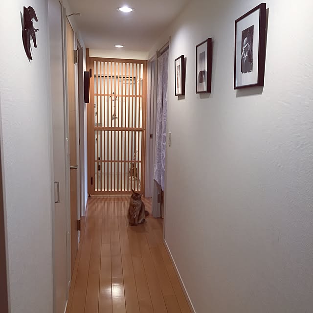 shihoさんの実例写真