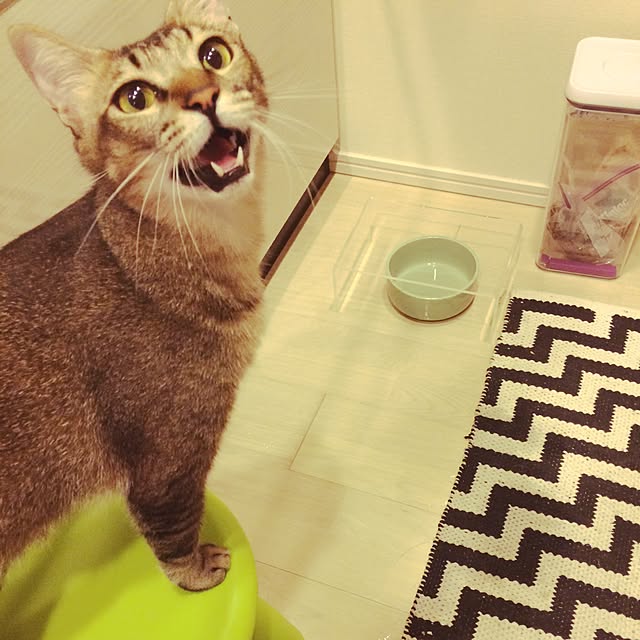 Reikoさんの実例写真