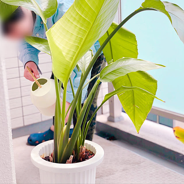 Hawaiiさんの実例写真