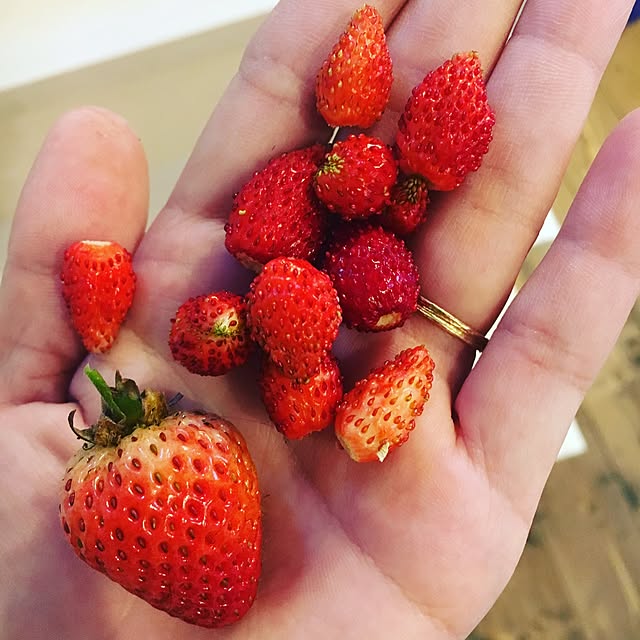 cocco0505さんの実例写真