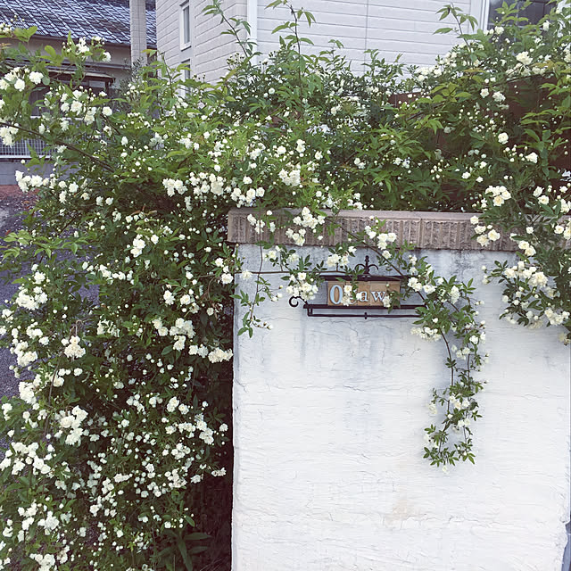 mamarinさんの実例写真