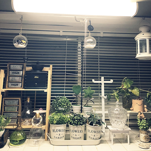 earthさんの実例写真