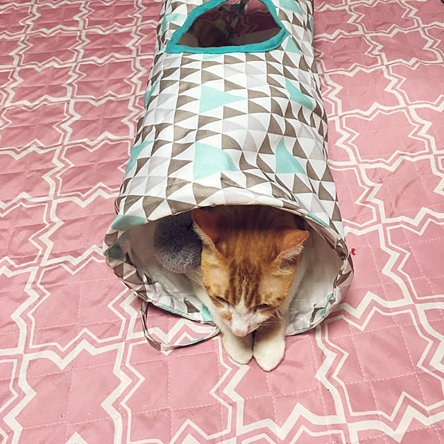 brbrnknkさんの実例写真