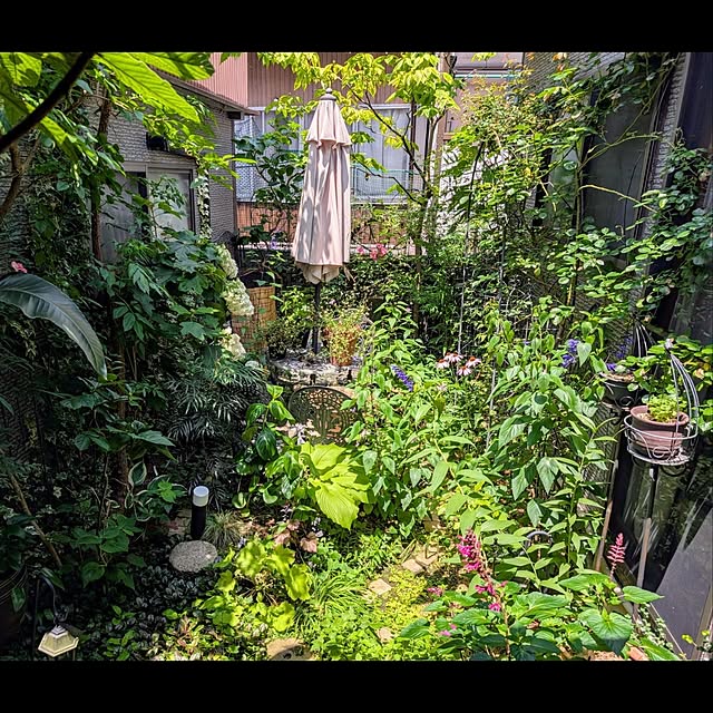 aromameさんの実例写真