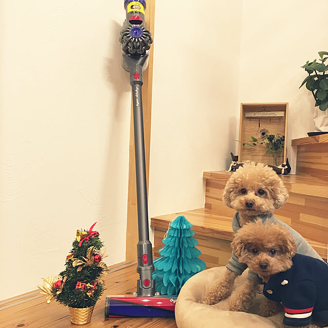 noririnさんの実例写真