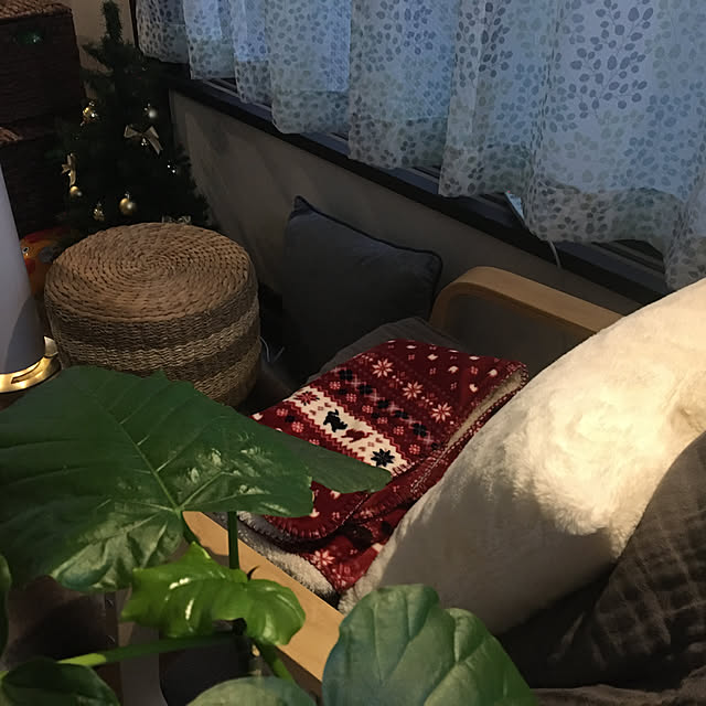 mamaさんの実例写真