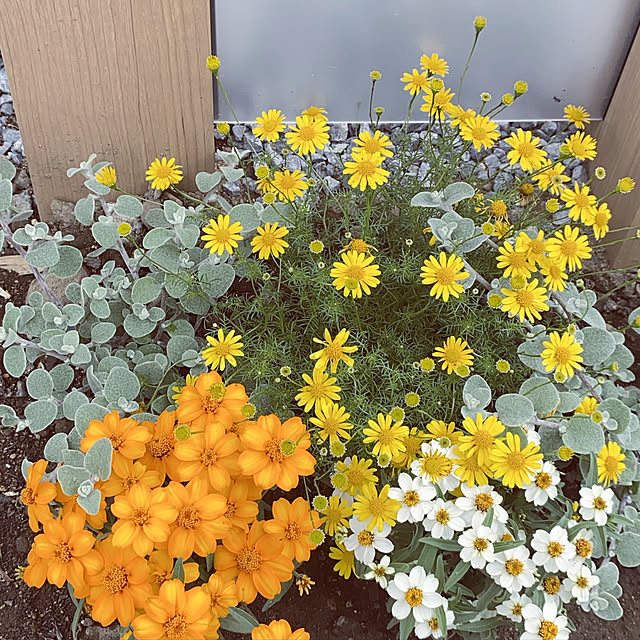 smileさんの実例写真