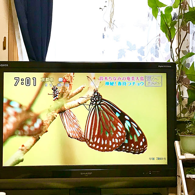 fuuさんの実例写真