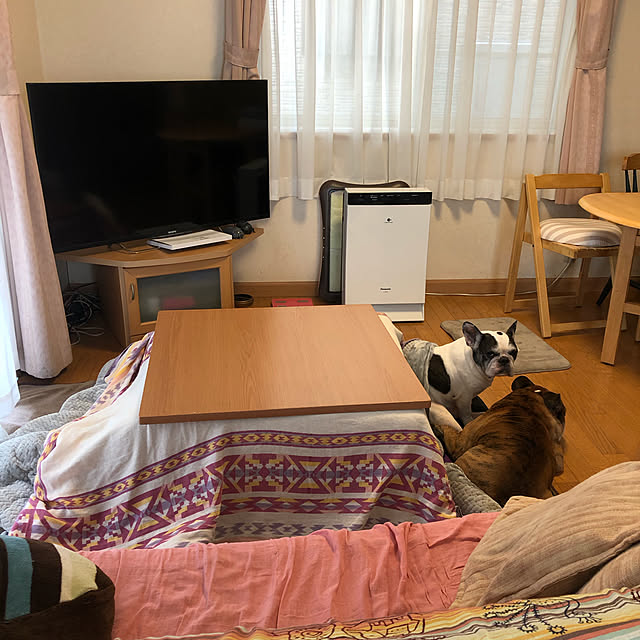 chi_gogaさんの実例写真