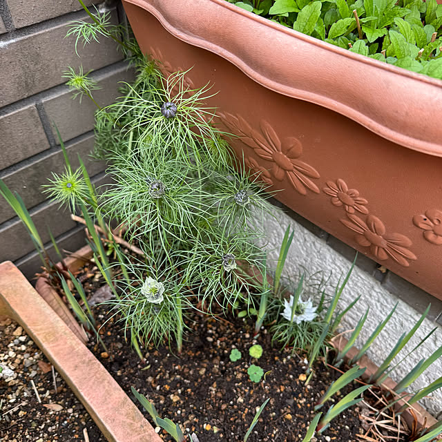 mamizaさんの部屋