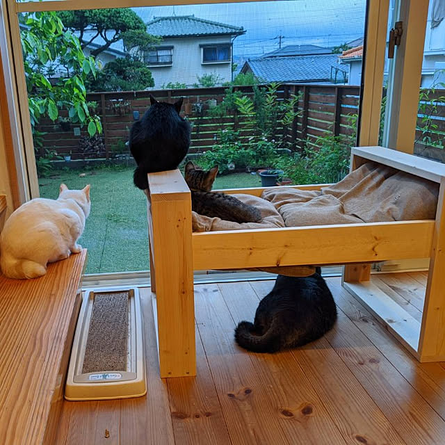 jacky-m-さんの実例写真