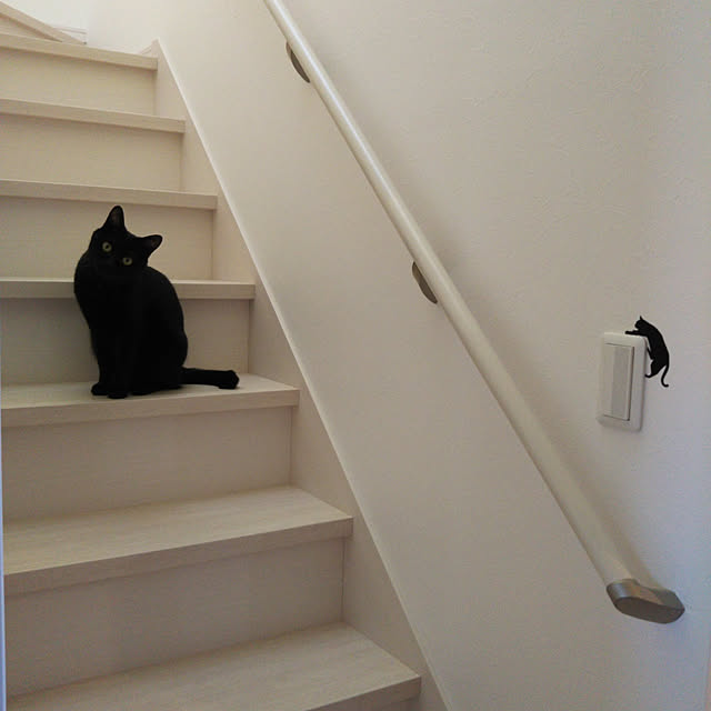 shiiiさんの実例写真
