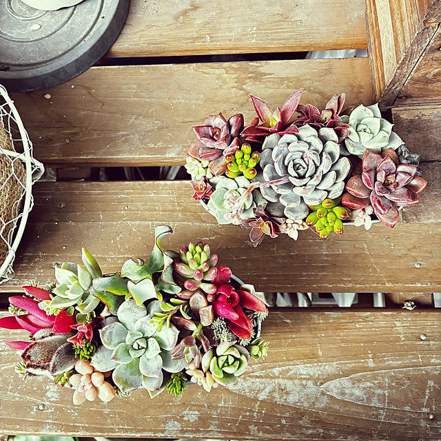 buchikoさんの部屋