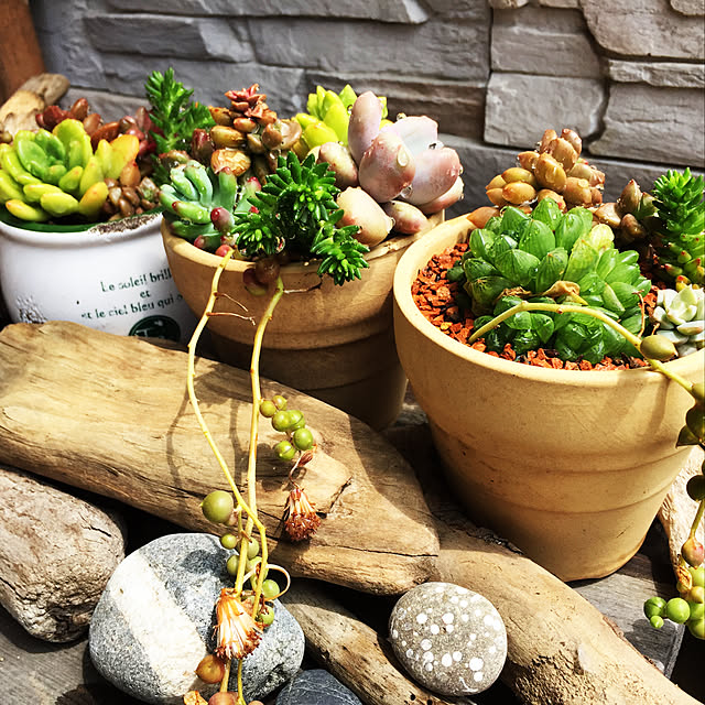 gontaさんの実例写真