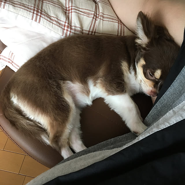 mofuchiさんの実例写真