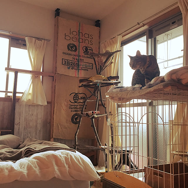 Mさんの実例写真