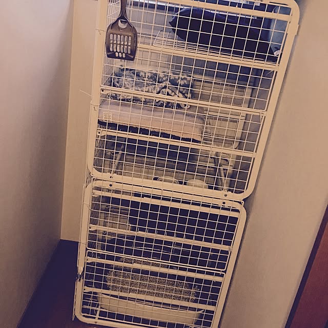 chouchouさんの実例写真