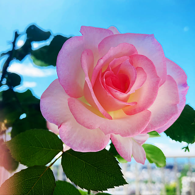 Runa7150さんの実例写真