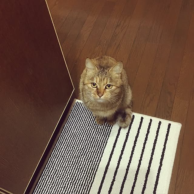 poncocoberryさんの実例写真