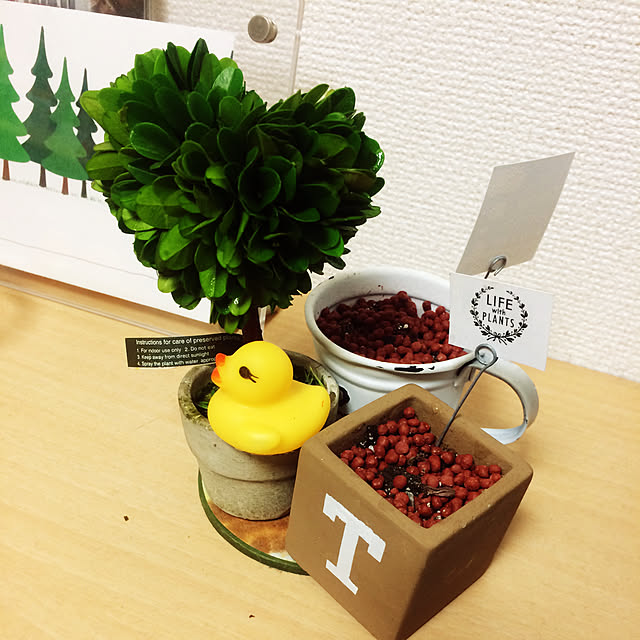 natさんの実例写真