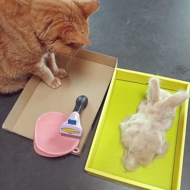 NOAHさんの部屋