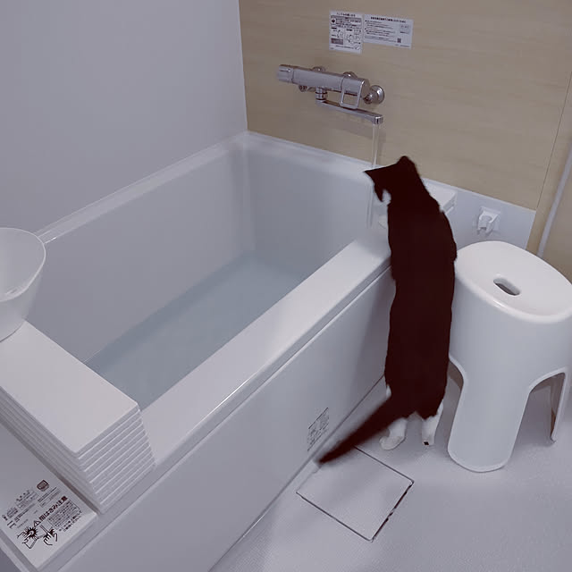 hihaさんの実例写真