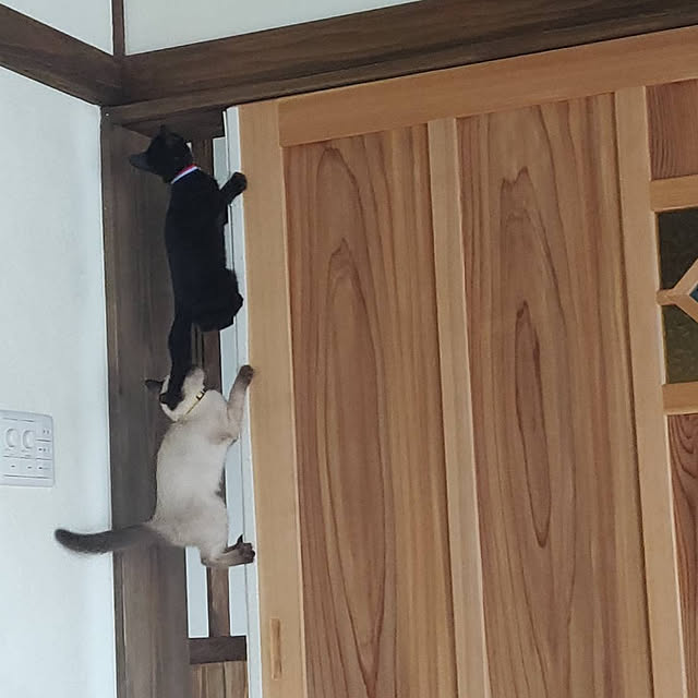 chiibou5223さんの実例写真