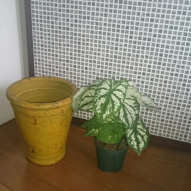 mizuさんの実例写真